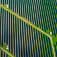 solar plant